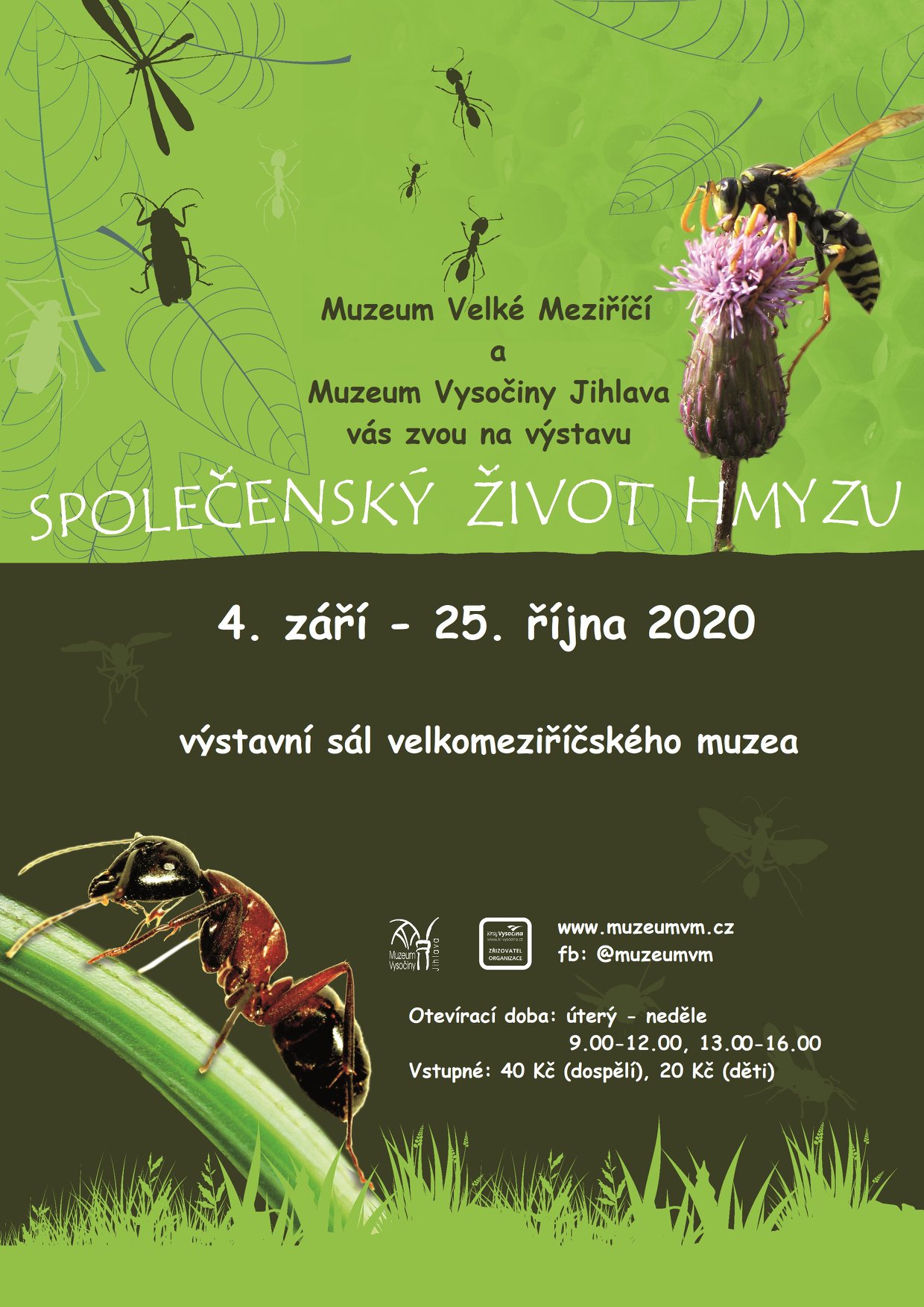 Muzeum zve na výstavu - Společenský život hmyzu
