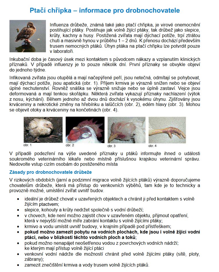 Ptačí chřipka – informace pro drobnochovatele