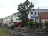 Poslední vzrostlý strom na Ostrůvku stavebnici neustále ořezávají. Zůstane tam vůbec něco?