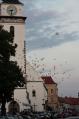 V sobotu večer o půl deváté svatebčené na náměstí vypustili k nebi desítky balonků.