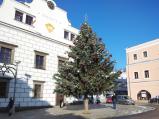 Vánoční strom na náměstí je již nazdoben.