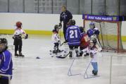 Celkem 22 nejmenších dětí ve věku 4-8 let vyrazilo ve středu večer na led zimního stadionu v rámci akce Týden hokeje.