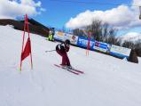 Na Fajtově kopci se dnes koná krajský přebor škol v lyžování a jízdě na snowboardu.