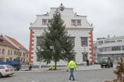 Vánoční strom už stojí na náměstí.