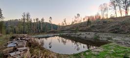 Záviškuj rybník v Balinském údolí je již napuštěn.