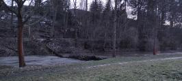 Spadlý strom v řece za Billou tvoří zábranu zvýšenému průtoku.