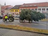 Vánoční strom se již blíží na místo určení - před radnici na náměstí ve Velkém Meziříčí.