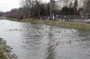 V Třebíči se v sobotu konal již 12. ročník prezentace otužileckého plavání v řece Jihlavě. Letos bohužel chyběl tým z Velkého Meziříčí.