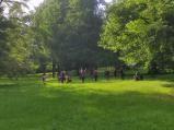 Dnes je letní slunovrat. V zámeckém parku se konalo tradičních 108 pozdravů slunci.
