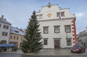 Vánoční strom již stojí před radnicí. Co na něj říkáte?