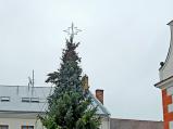 Vánoční osvětlení se právě instaluje na vánoční strom.