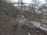 Cyklostezka z VM do Mostišť byla po vydatném sněžení a pádech stromů uzavřena. 