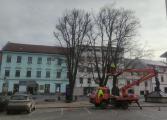 Dnes dopoledne bylo odstraněno osvětlení na lípě u kašny.
