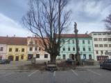 Na náměstí v neděli proběhla prořezávka lípy. 