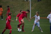 Na našem fotbalovém stadionu se hrají tuto sobotu a neděli zápasy chlapců U14 v rámci turnaje Třebíč Open. Také FCVM zde má svůj žákovský tým. Více foto na našem Facebooku.