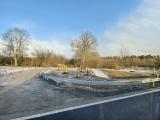 Kolem nově opravené silnice II/360 do Třebíče u rybníku Březina proběhla dodatečná výsadba nových stromků.