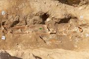 Další ze stovek koster objevených při archeologické záchranném průzkumu kolem kostela ve Velkém Meziříčí.