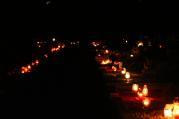 Památka zesnulých - hřibitov na Karlově rozzářily tisíce svíček.