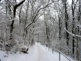 Sníh přes noc zasypal celé město. Ráno byly k vidění nádherné zimní scenérie, jako tato v Čechákách.
