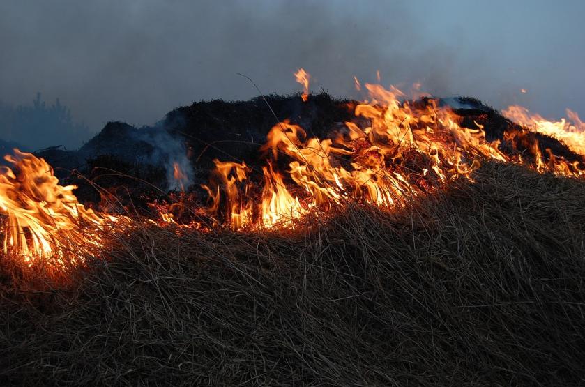Tři jednotky hasičů ve čtvrtek zasahovali při požáru trávy u obce Kúsky