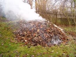 Pří pálení klestí a zahradního odpadu buďte opatrní!
