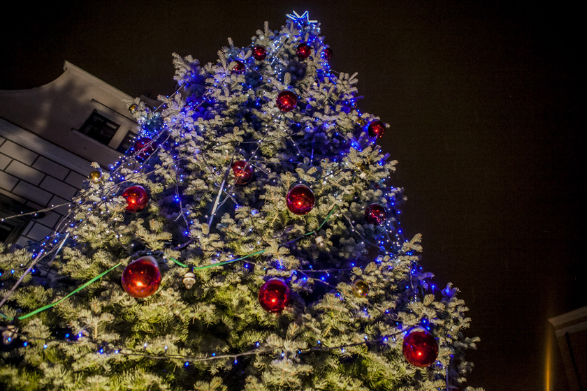 Začal advent, společně jsme na náměstí rozsvítili vánoční strom i výzdobu