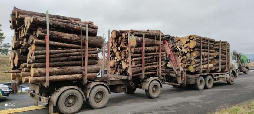 Kladař pokračuje: Kontroly vozidel se dřevem