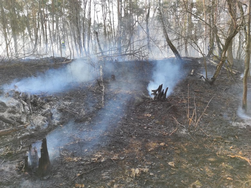 Jeden z nedávných lesních požárů u Hrbova.