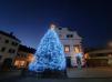 Letošní vánoční strom bude z Horních Radslavic