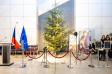 Český vánoční strom zdobí Evropský parlament 