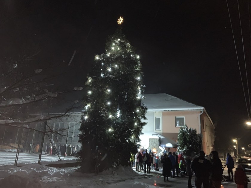 Rozsvícený vánoční strom v Oslavici.